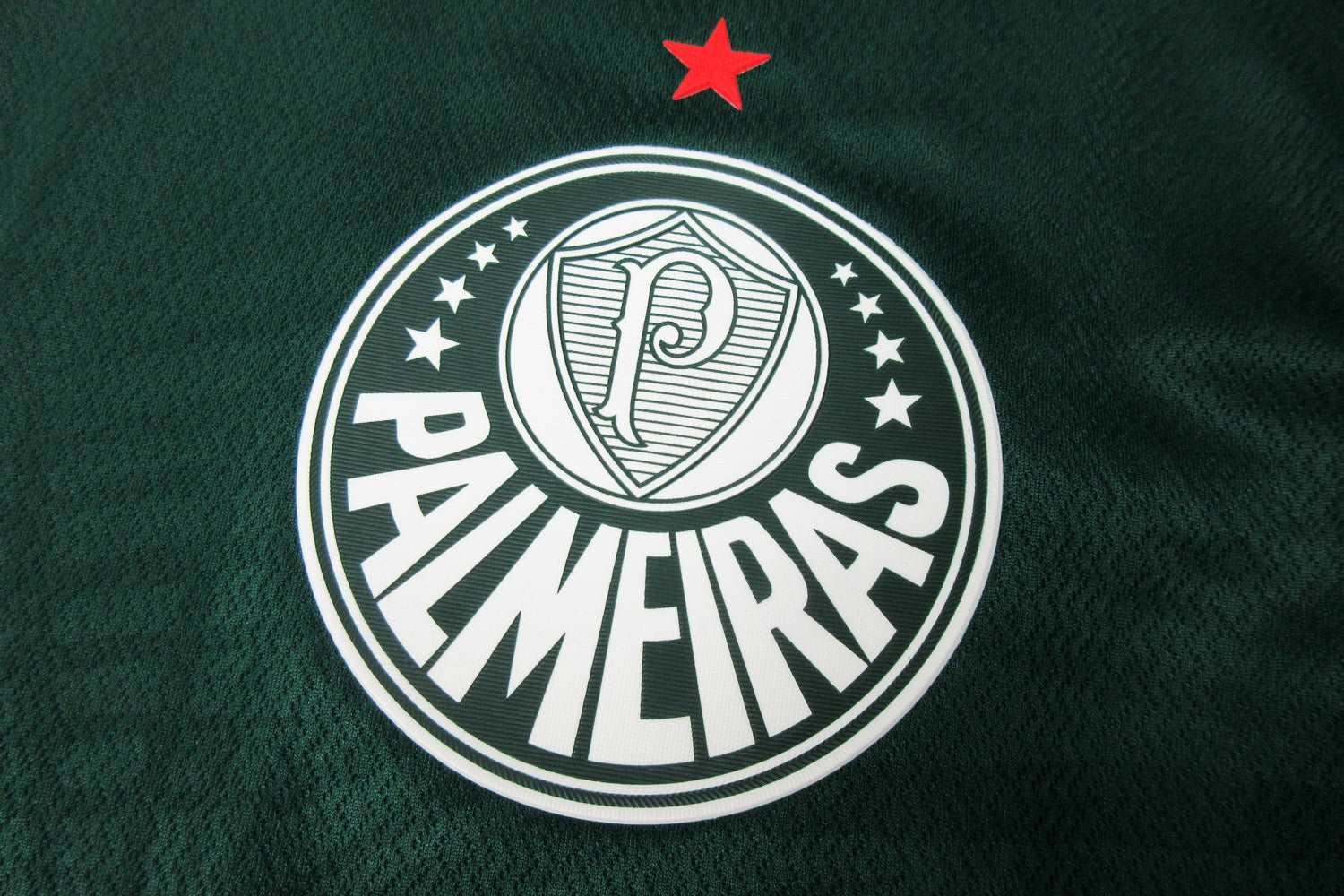 22/23 Palmeiras Heimtrikot – Spielerversion 