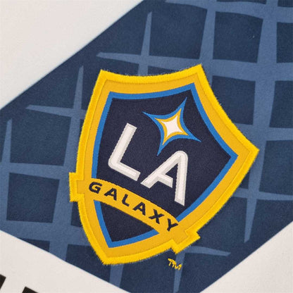 12-13 LA Galaxy home